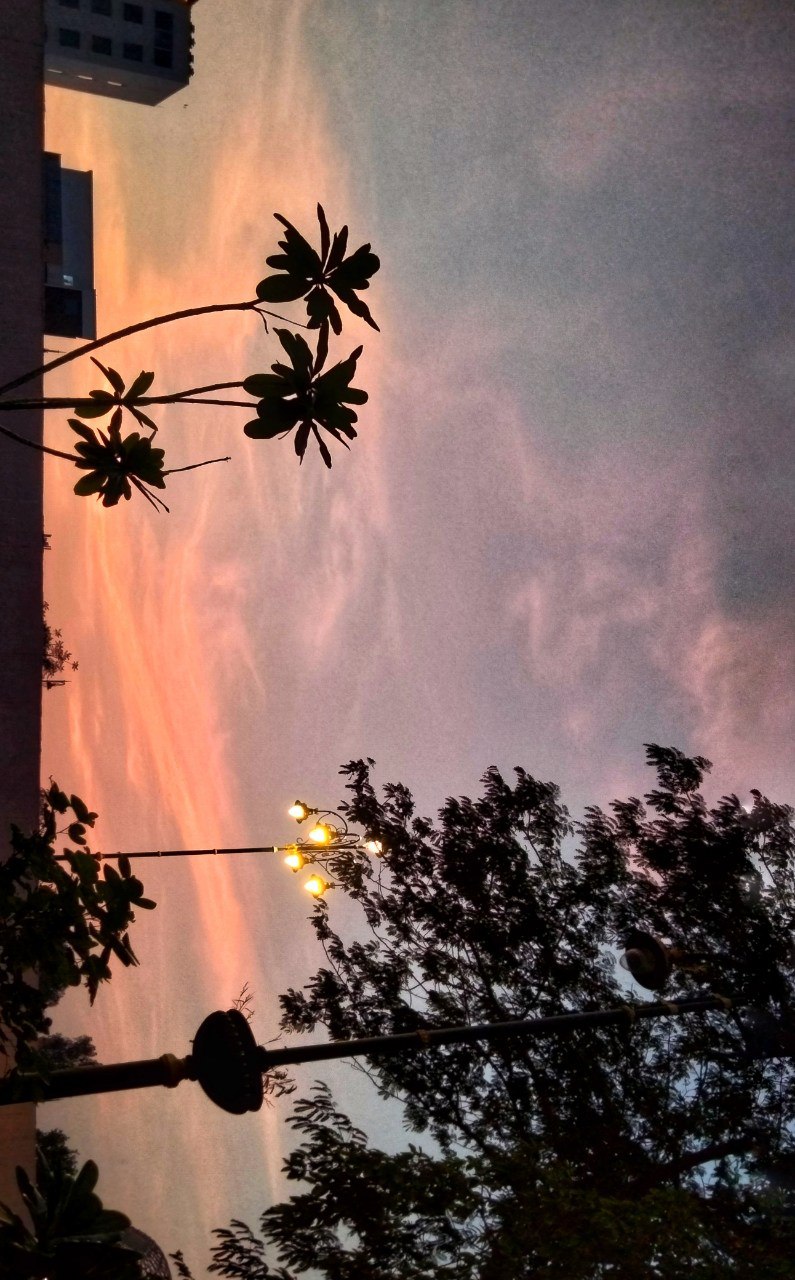 a street light with trees and a cloudy sky